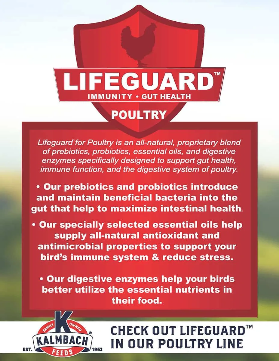 17% Organic Layer Pellet for Chickens (35lb)