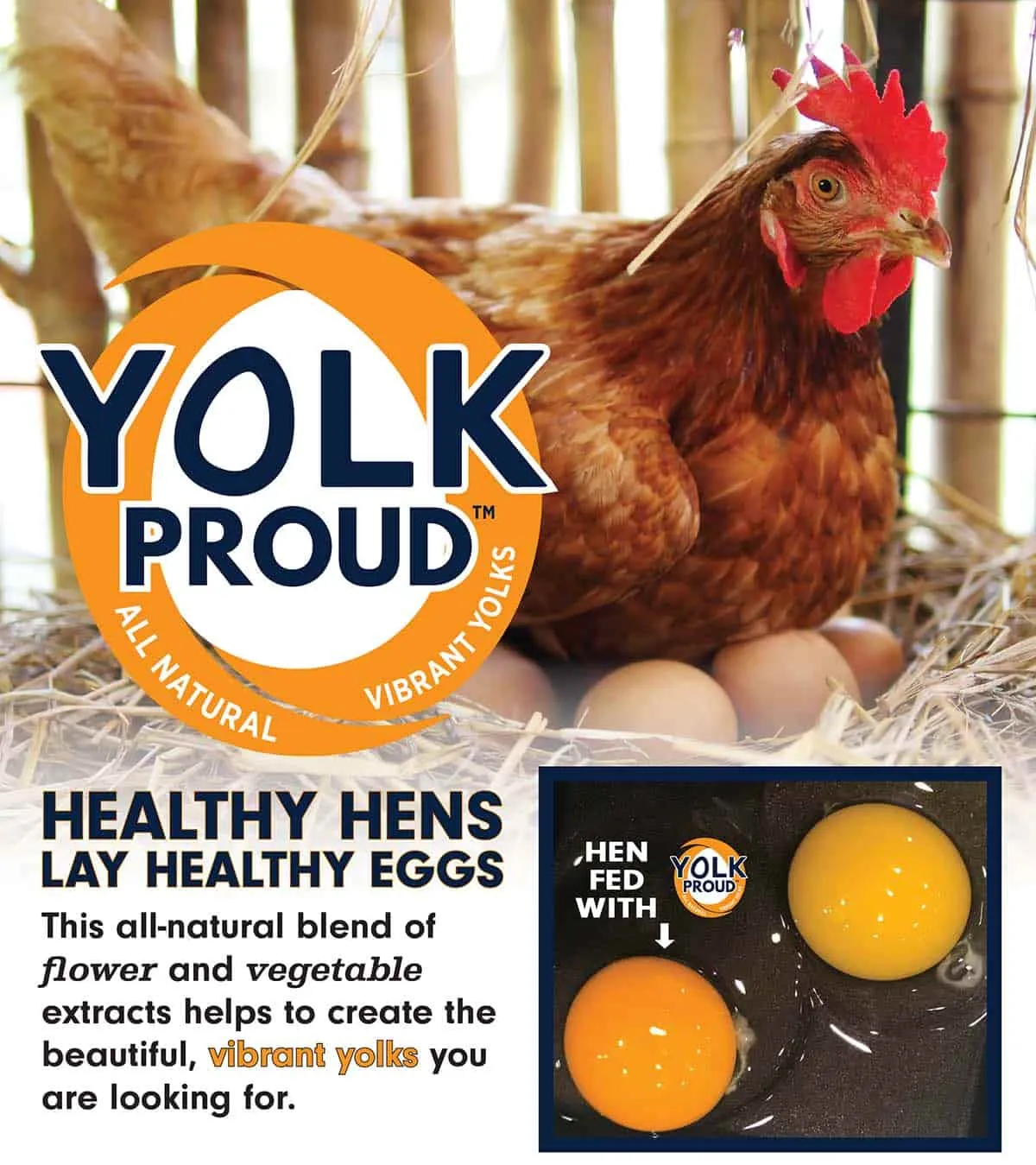 17% Organic Layer Pellet for Chickens (35lb)