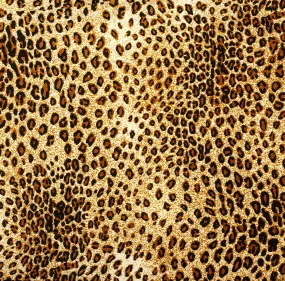 African Fabric, Leopard Fabric Pattern Multi,  Fleece, 2152