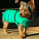 Alpine Extreme Weather Puffer Coat