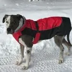 Alpine Extreme Weather Puffer Coat