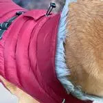 Alpine Extreme Weather Puffer Coat