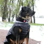 Alpine Extreme Weather Puffer Coat