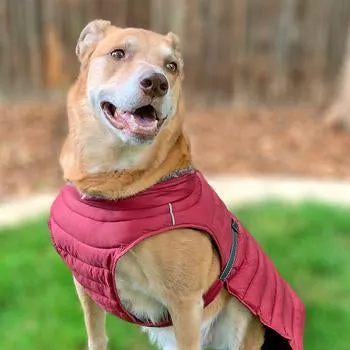 Alpine Extreme Weather Puffer Coat