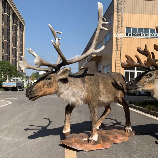 Animatronic Caribou Reindeer Model Set-MAR004B