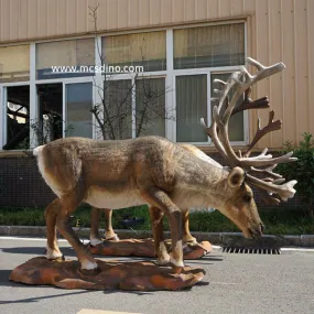Animatronic Caribou Reindeer Model Set-MAR004B