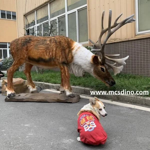 Animatronic Reindeer Christmas collection-MAR004C