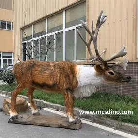 Animatronic Reindeer Christmas collection-MAR004C