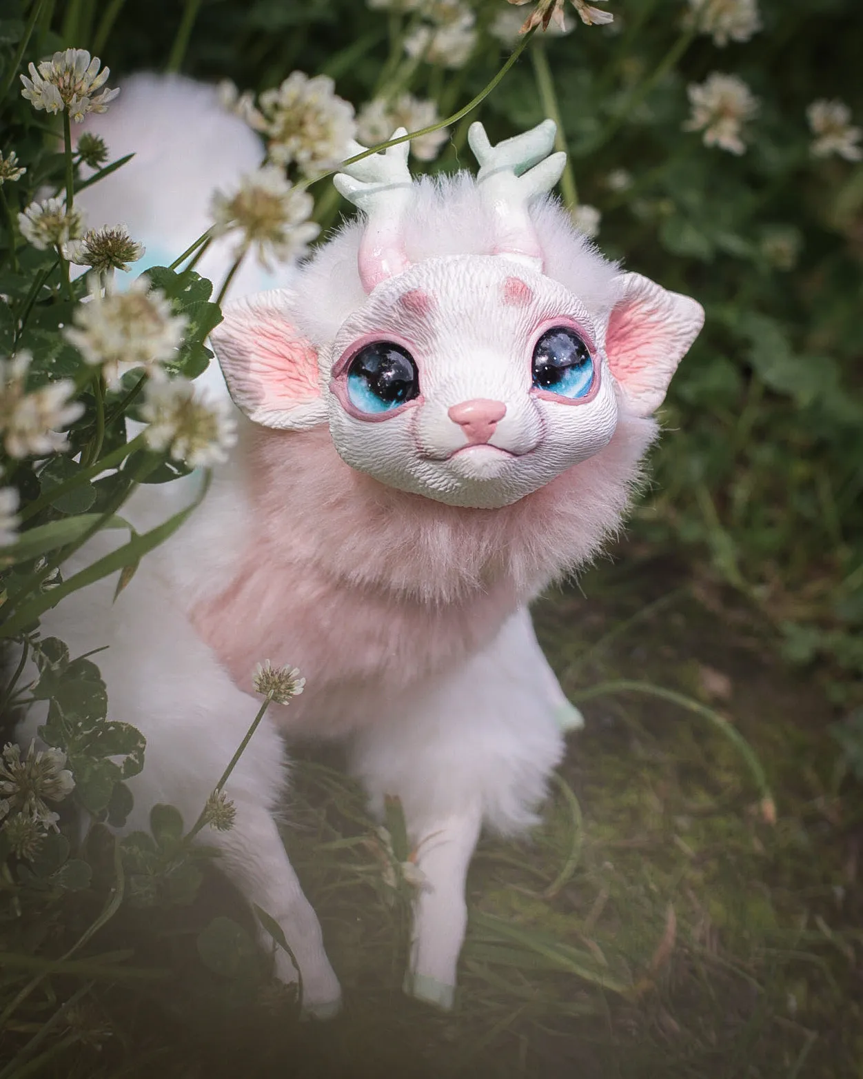 Baby deer
