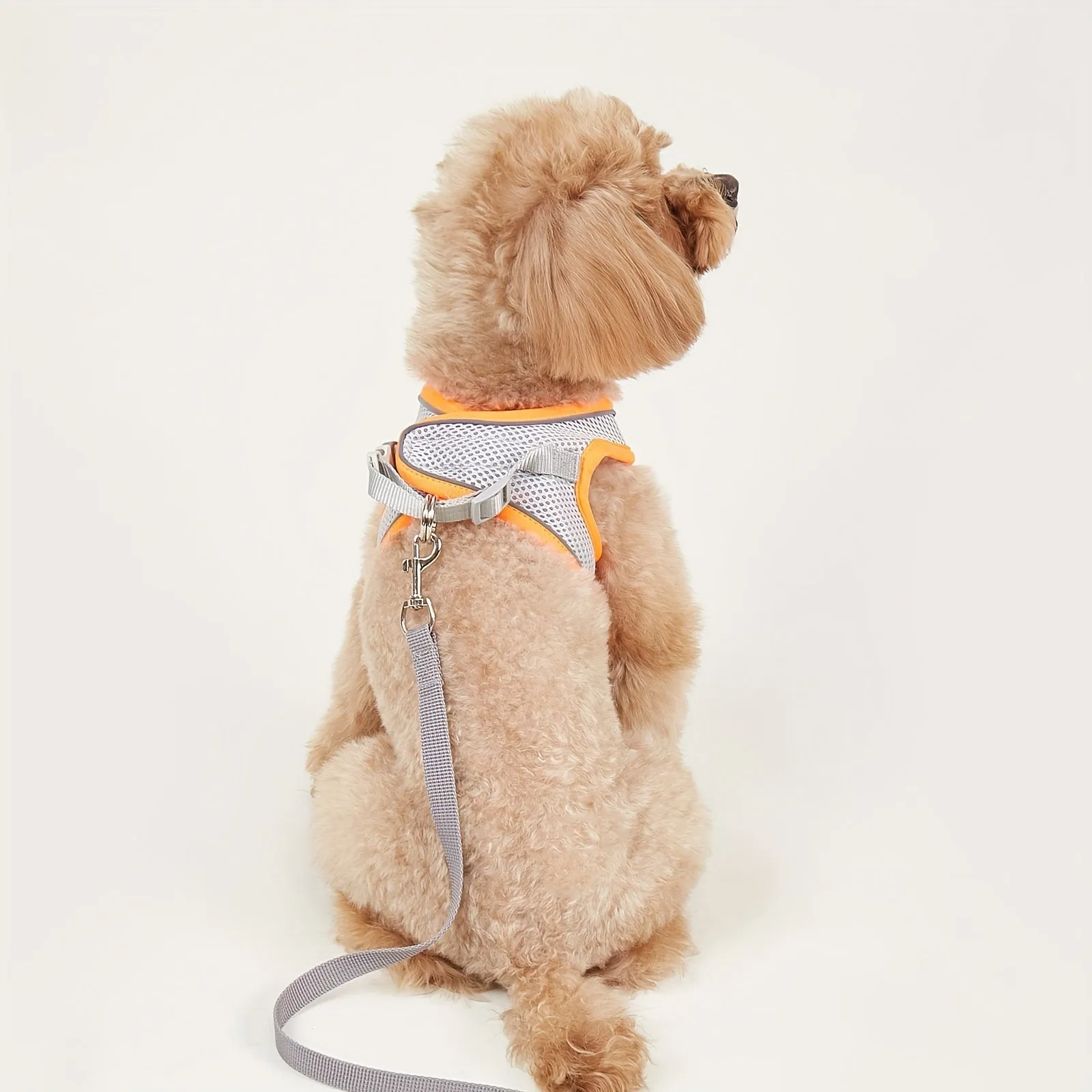 Comfy  Safe Pet Harness Reflective Mesh Vest for Small  Medium Dogs