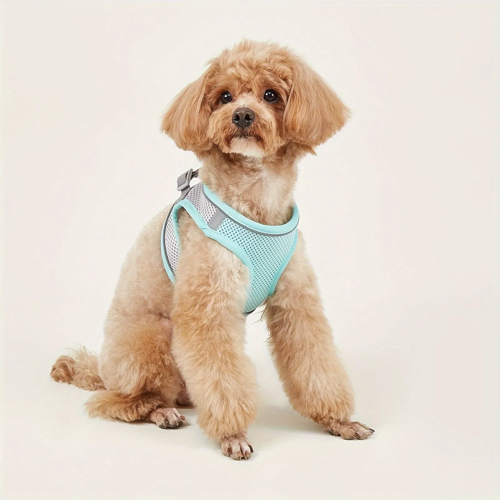Comfy  Safe Pet Harness Reflective Mesh Vest for Small  Medium Dogs