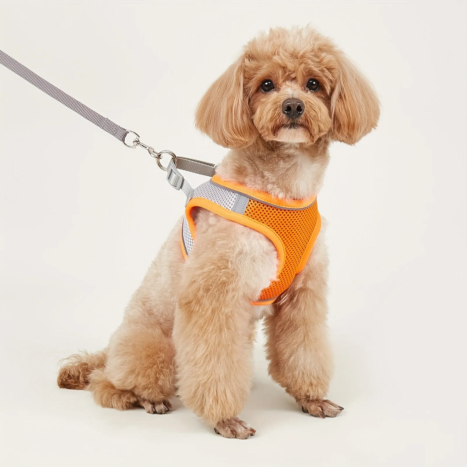 Comfy  Safe Pet Harness Reflective Mesh Vest for Small  Medium Dogs