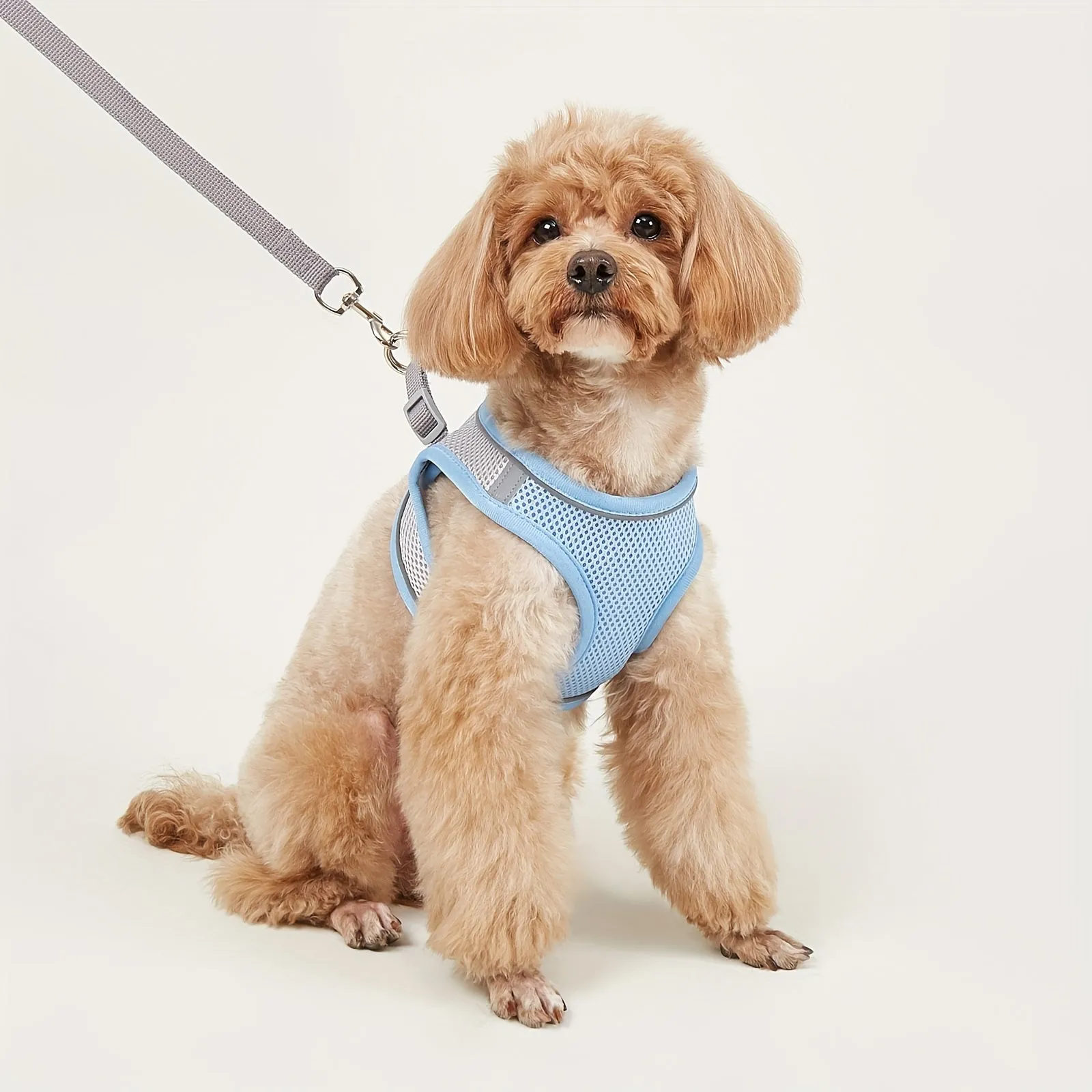 Comfy  Safe Pet Harness Reflective Mesh Vest for Small  Medium Dogs