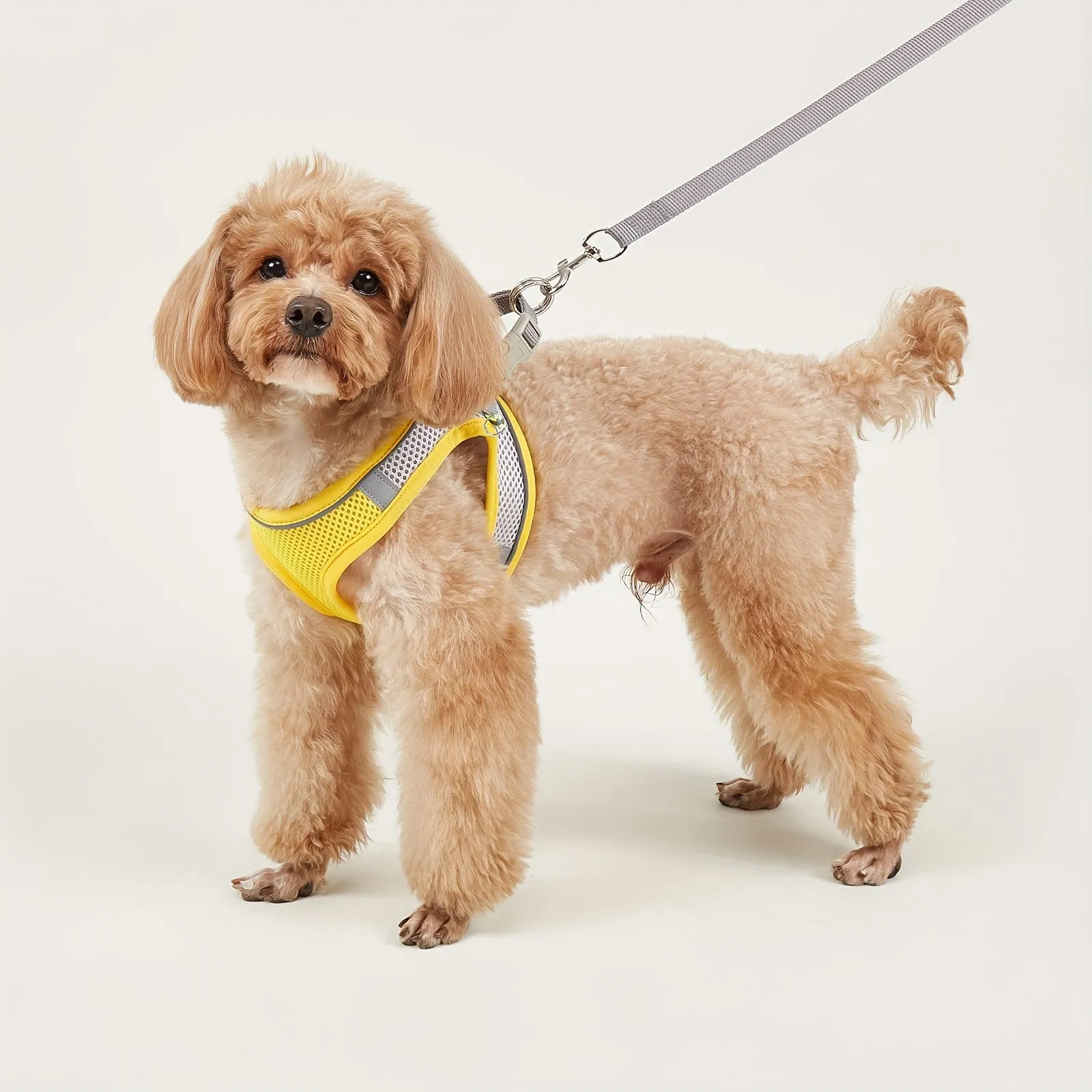 Comfy  Safe Pet Harness Reflective Mesh Vest for Small  Medium Dogs