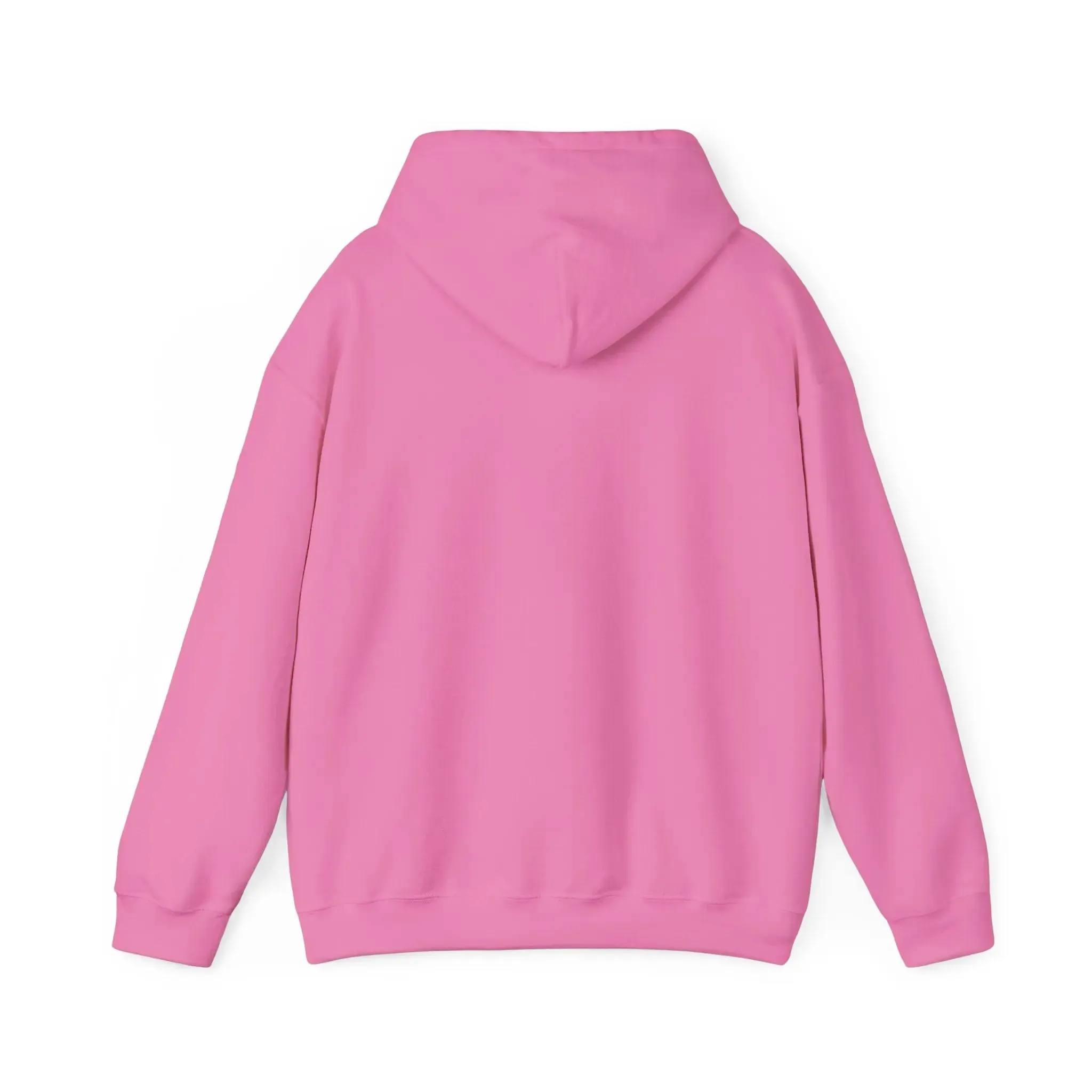 Feral Hoodie Don't Talk to Me Sweatshirt