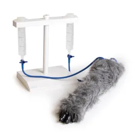 IV. Injection Leg Canine