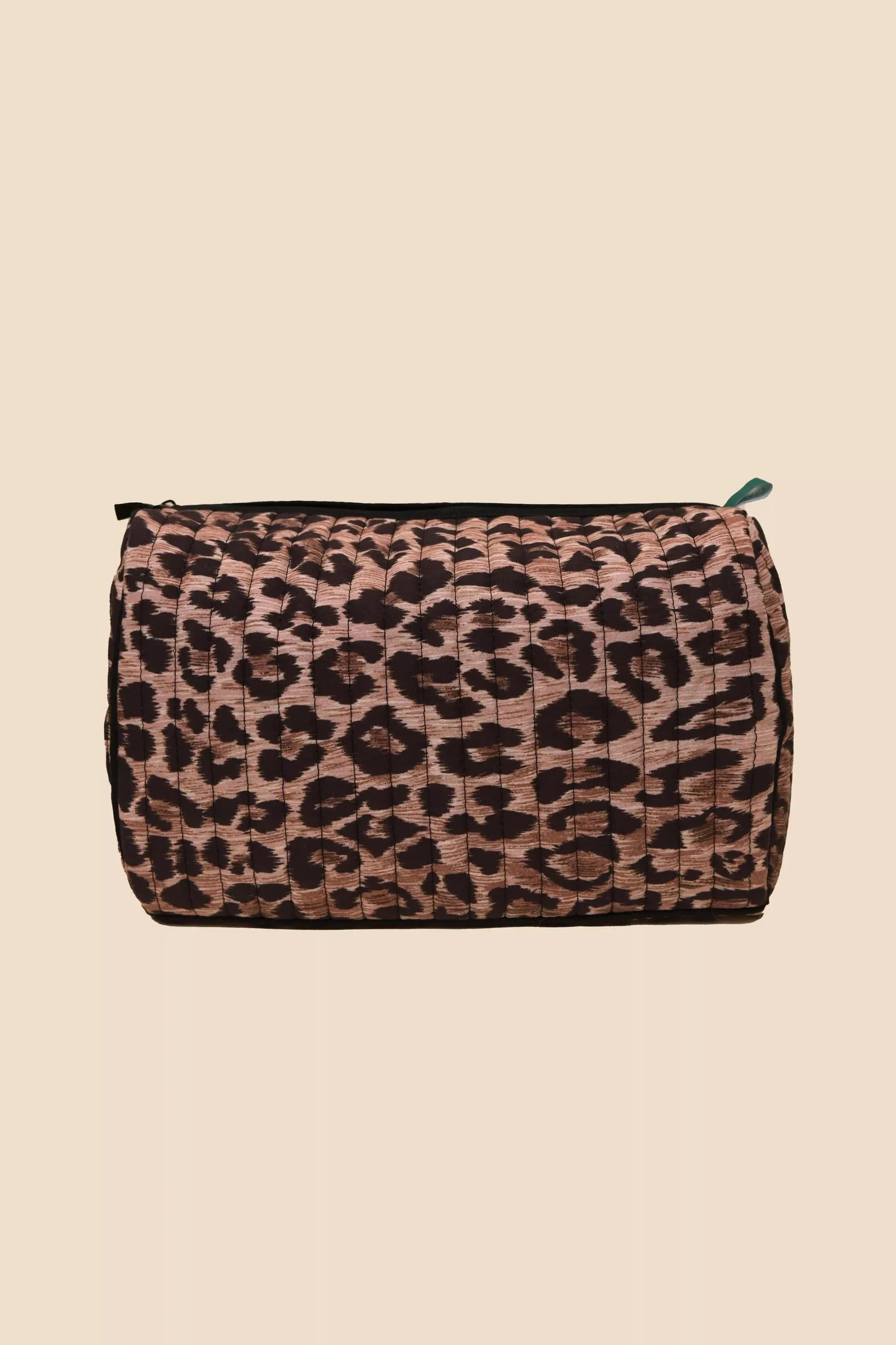 Jaipur - Leopard