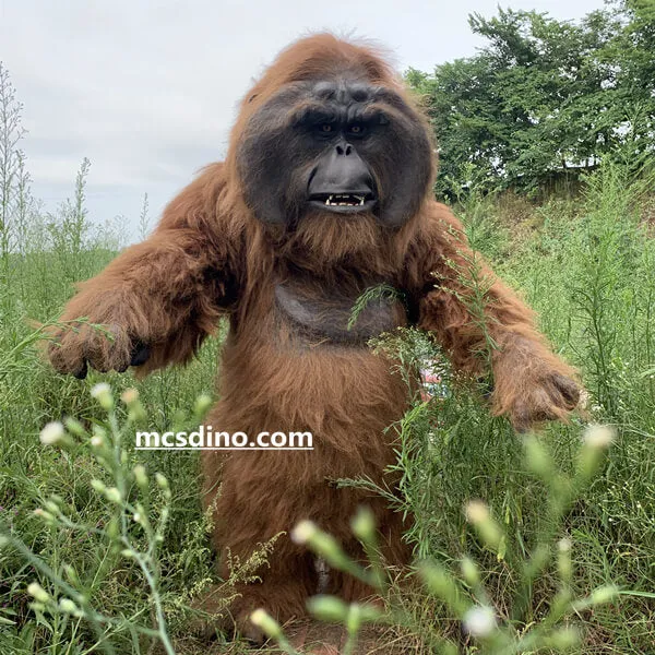Life-size Animatronic Orangutan Costume-DCOR001