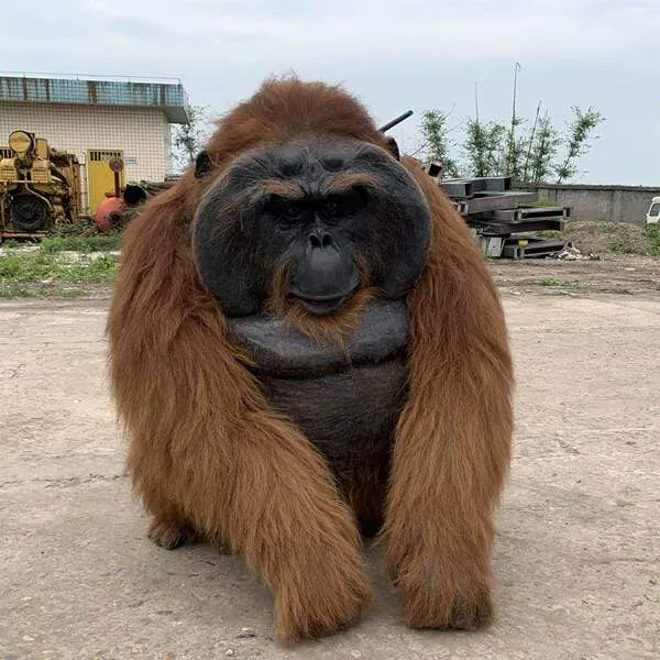 Life-size Animatronic Orangutan Costume-DCOR001