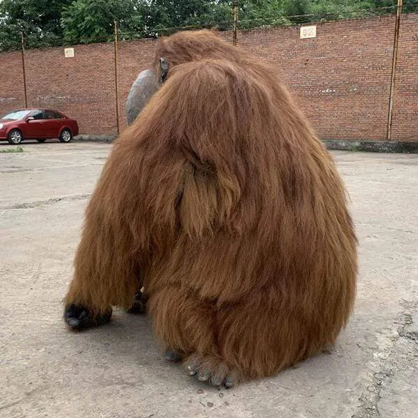 Life-size Animatronic Orangutan Costume-DCOR001