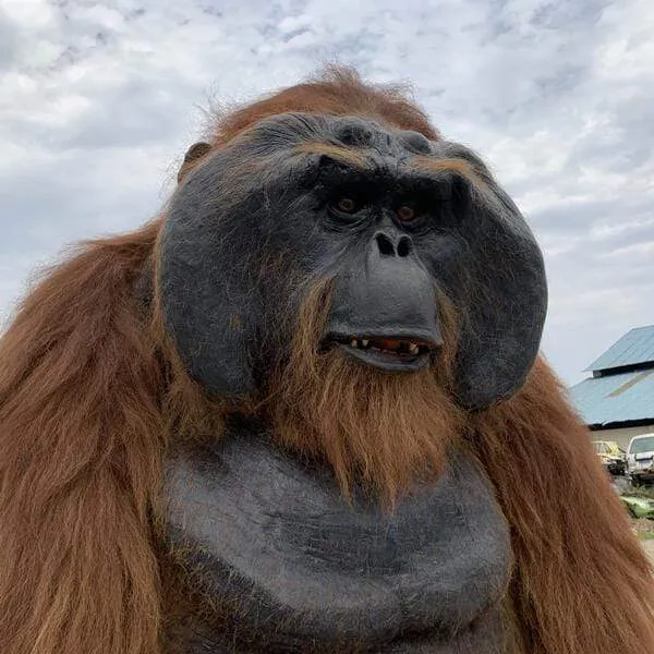 Life-size Animatronic Orangutan Costume-DCOR001