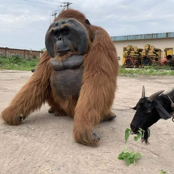 Life-size Animatronic Orangutan Costume-DCOR001