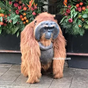 Life-size Animatronic Orangutan Costume-DCOR001