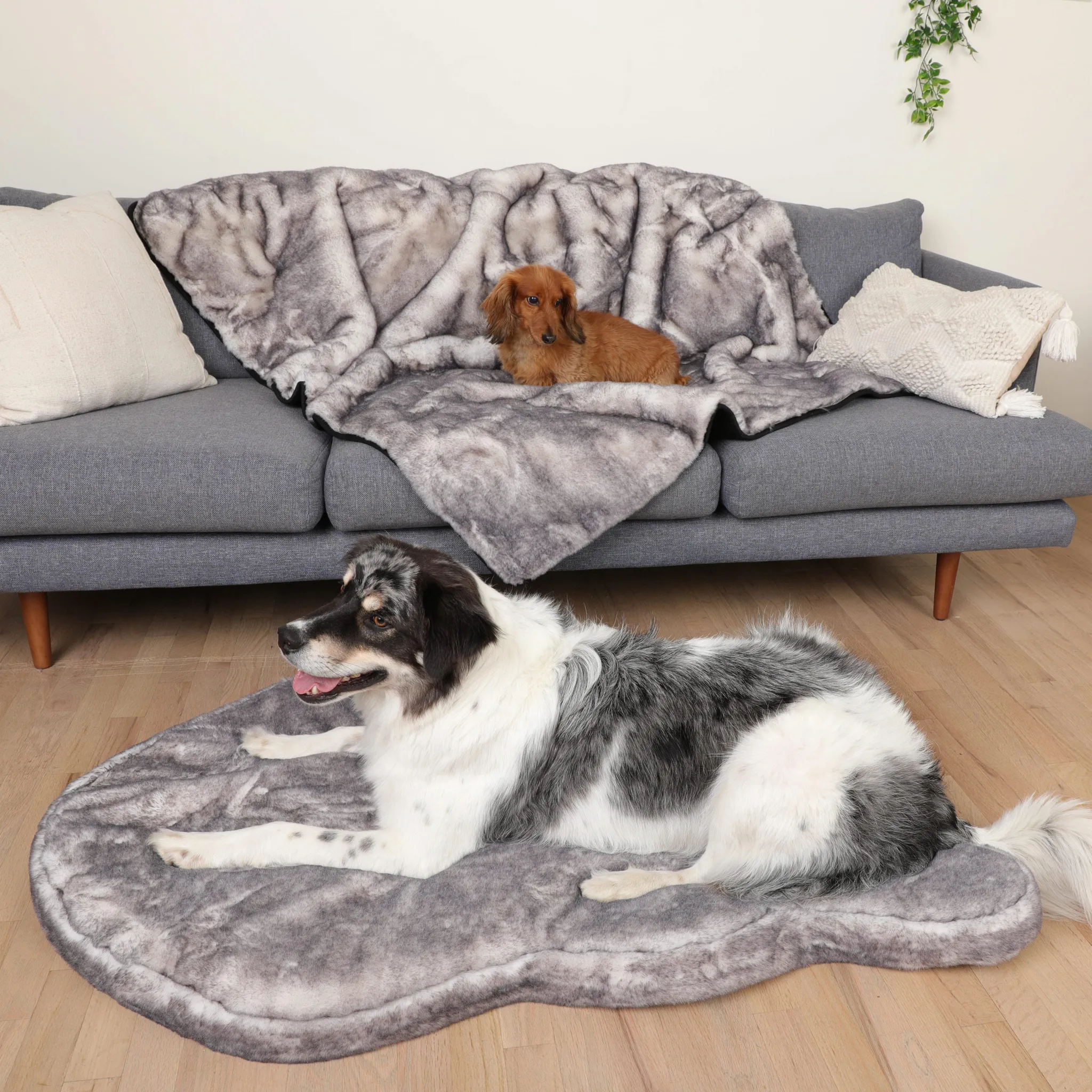 PupRug™ Luxe Orthopedic Bed   Matching Waterproof Blanket Bundle - Ultra Soft Chinchilla