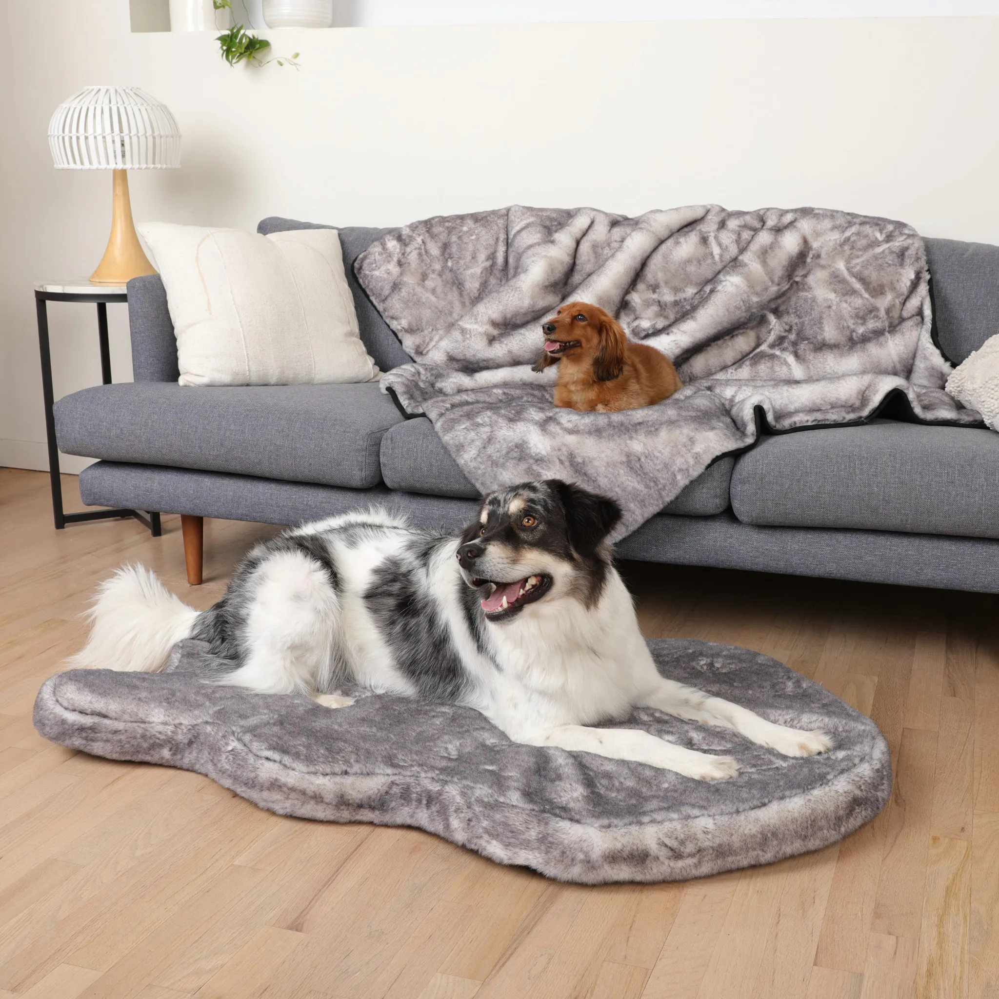 PupRug™ Luxe Orthopedic Bed   Matching Waterproof Blanket Bundle - Ultra Soft Chinchilla
