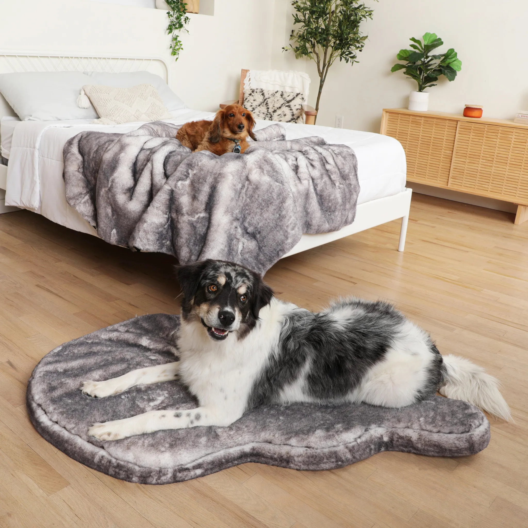 PupRug™ Luxe Orthopedic Bed   Matching Waterproof Blanket Bundle - Ultra Soft Chinchilla