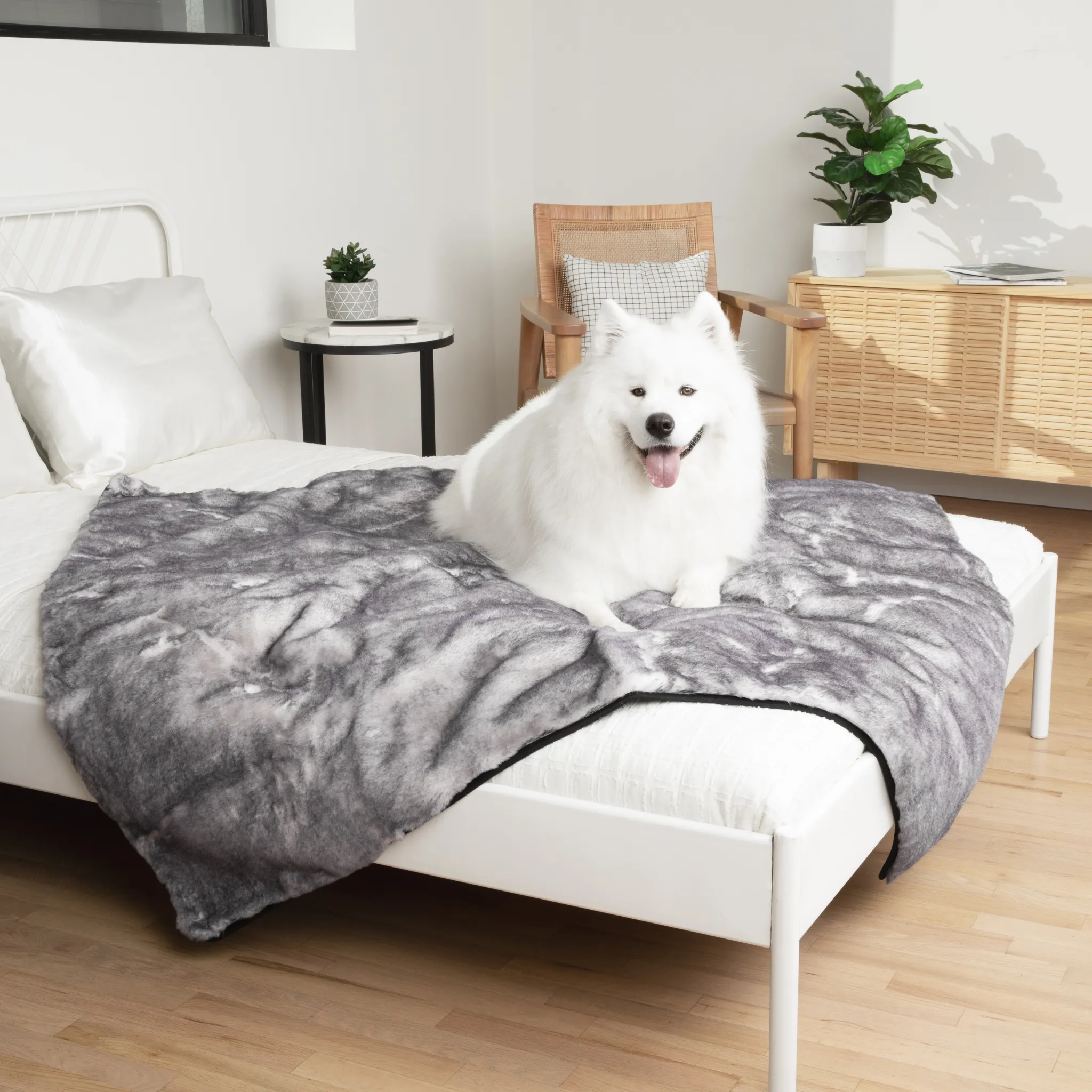 PupRug™ Luxe Orthopedic Bed   Matching Waterproof Blanket Bundle - Ultra Soft Chinchilla
