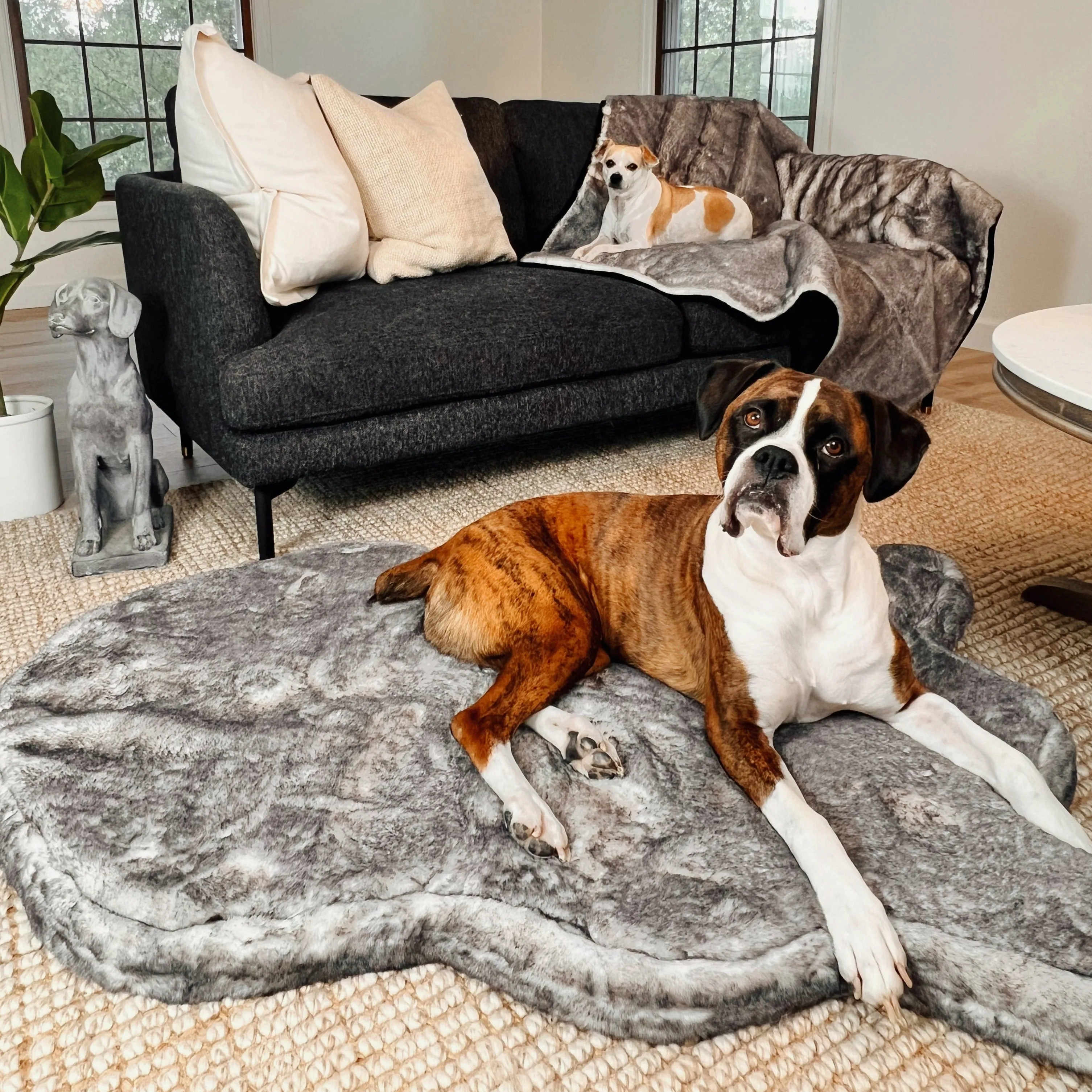 PupRug™ Luxe Orthopedic Bed   Matching Waterproof Blanket Bundle - Ultra Soft Chinchilla