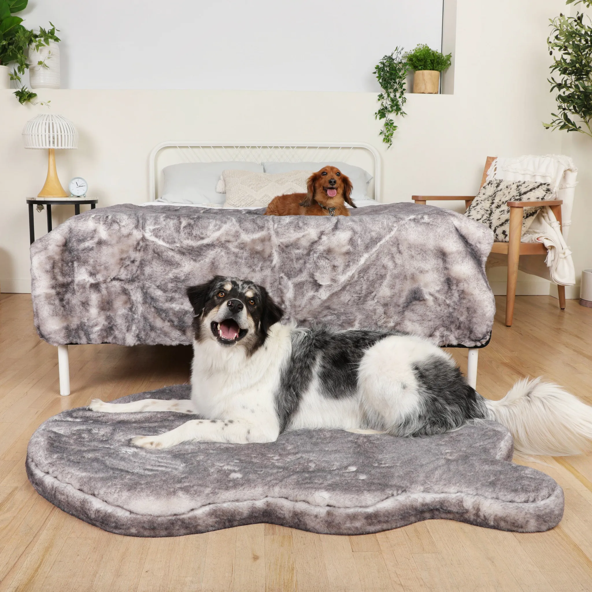 PupRug™ Luxe Orthopedic Bed   Matching Waterproof Blanket Bundle - Ultra Soft Chinchilla