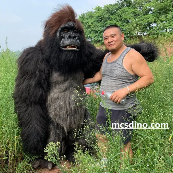 Realistic Animated Gorilla Costume-DCGR001