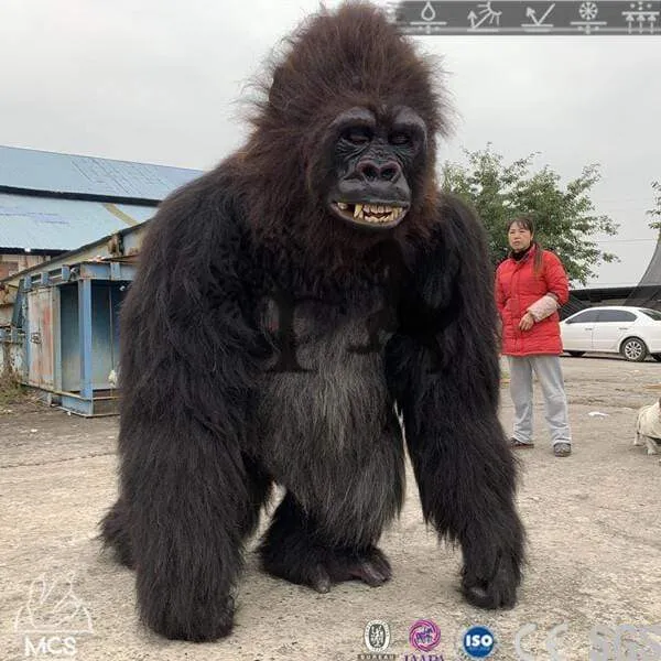 Realistic Animated Gorilla Costume-DCGR001