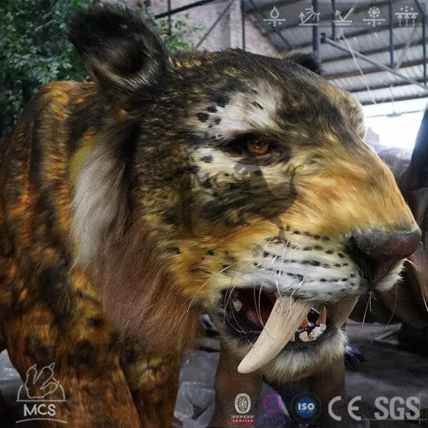 Realistic Animatronic Smilodon（Saber Tooth Tiger）Model-AFS001A