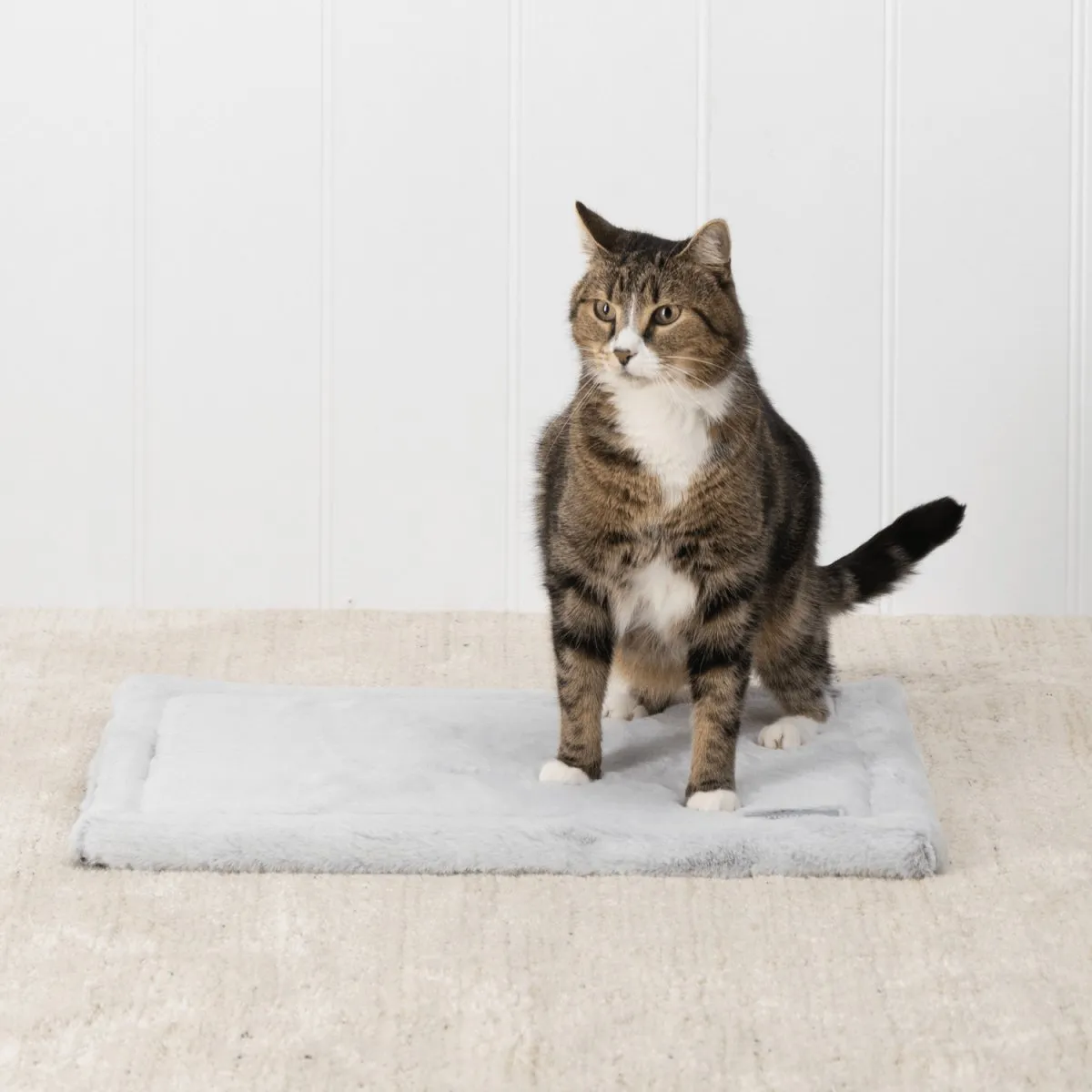 Self Warming Cat Mat