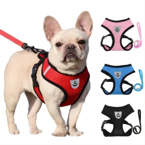 Stay safe with our adjustable reflective pet harness and leash