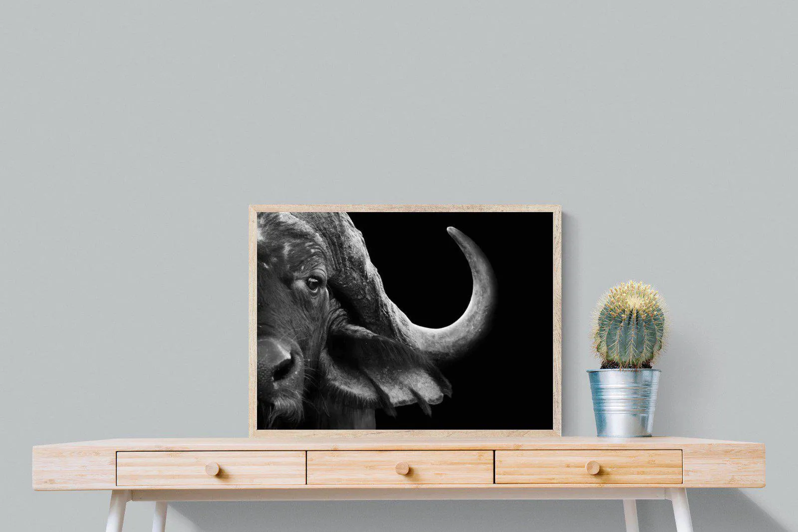 Water Buffalo