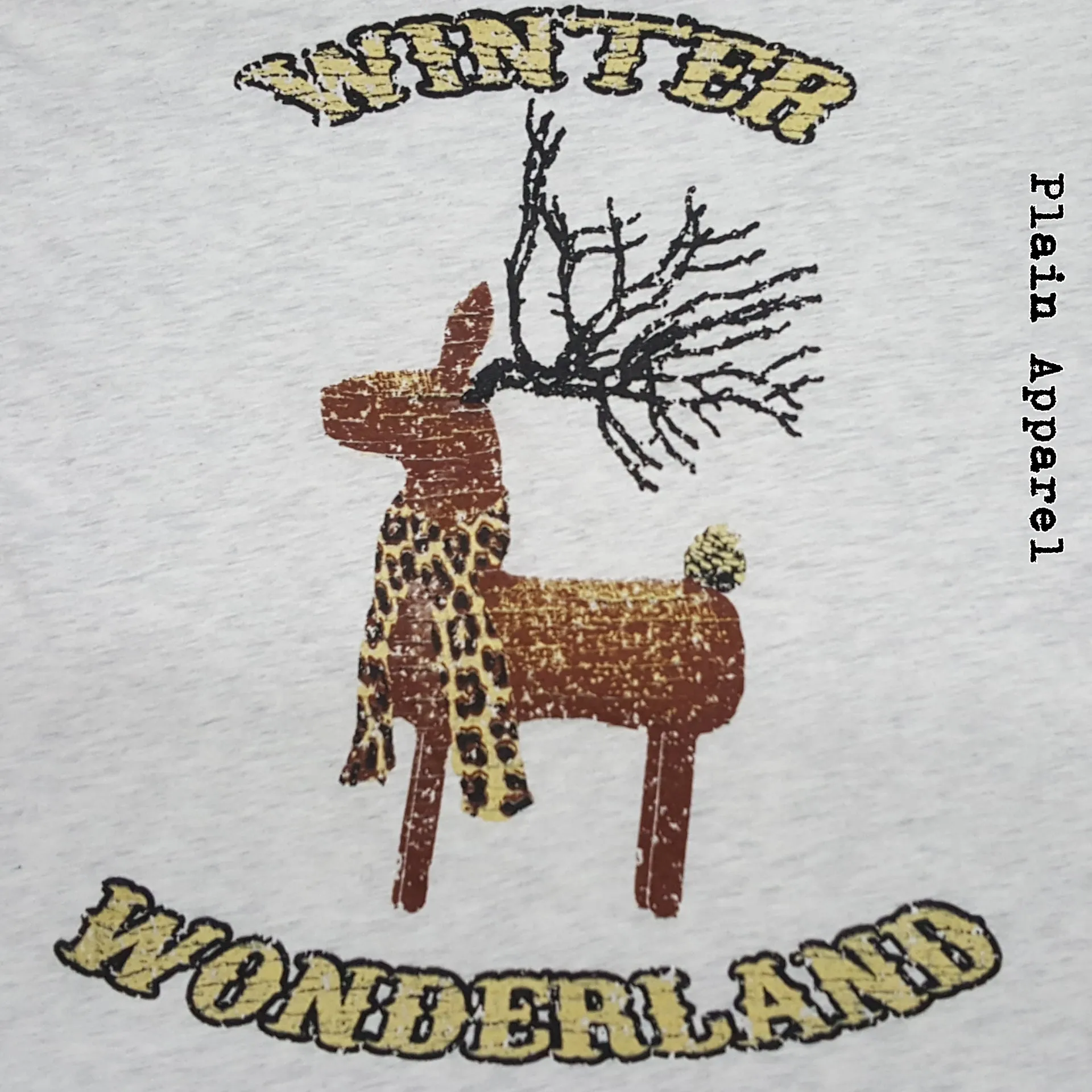 Winter Wonderland Reindeer Raglan